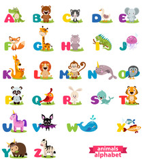 Cute english illustrated zoo alphabet with cute cartoon animal. Vector illustration for kids education, foreign language study.