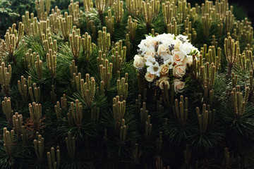 Tender wedding ouquet lies on the bush