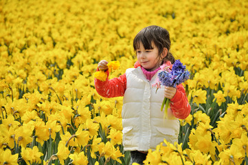 Happy kid with spring flowers on yellow daffodils field, little girl on vacation trip in...