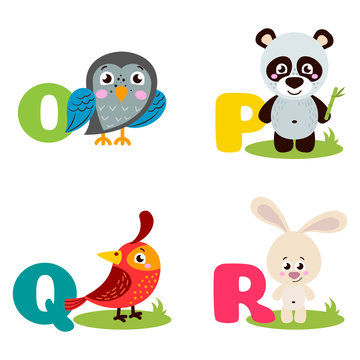 A vector illustration of alphabet animals from O to R. Vector illustration for kids education, foreign language study.