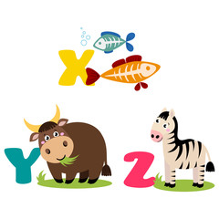 A vector illustration of alphabet animals from X to Z. Vector illustration for kids education, foreign language study.