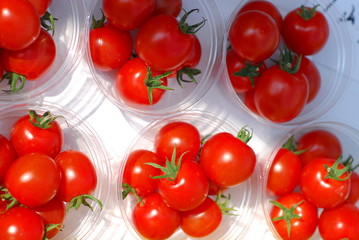 Japan Gifu Prefecture Takayama Miyagawa Morning Market