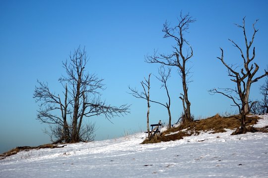 winter auf dem hirtstein