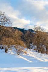 Trees without leaves in the snow front. View of winter mountains