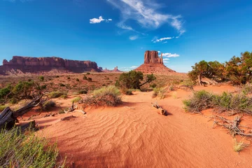 Fototapeten Coral Sanddünen in der Wüste im Monument Valley, Arizona, USA.  © lucky-photo