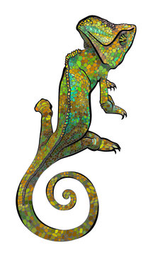 chameleon. Chameleon vector print. Vector illustration of a silhouette of a chameleon