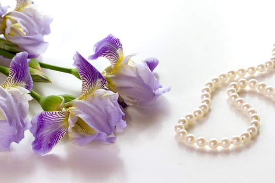 Flowers iris and pearls.