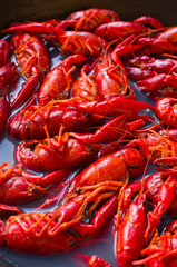 Crayfish on the pan