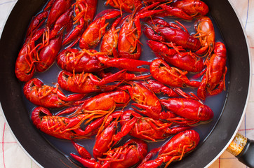 Crayfish on the pan