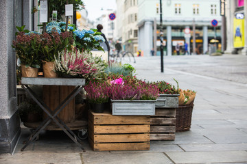Fototapeta na wymiar Flowers are near a flower shop on a city street.
