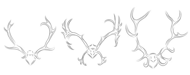 Set of contour drawing of different deer antlers. Vector element for your design
