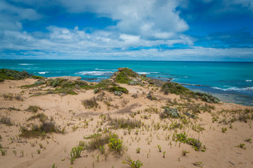 Scenic South Australian Limestone Coast landscape at Beachport