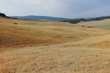 Fototapeta na wymiar Typical landscape in Tuscany, farmhouse on the hills of Val d'Or