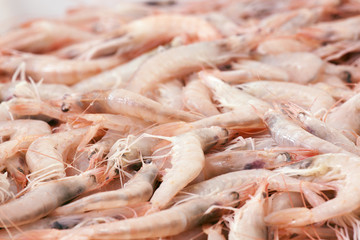 prawl in the fish market