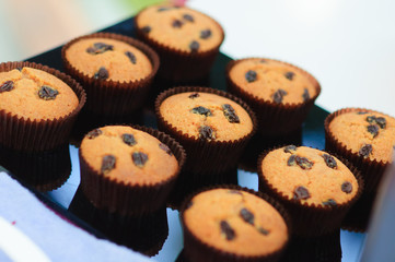 Tasty muffin cake