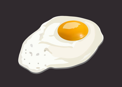 Fresh fried egg on a dark background.Vector Illustration.