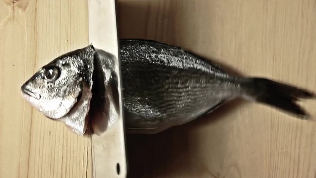 Cutting the head of a raw fish (preparing the meat for cooking). Also good for horror, Halloween, gore scenes.
