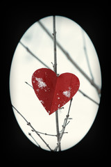 red paper heart on twig on snow