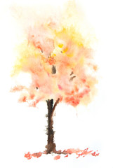 Autumn tree on white, watercolor painting impressionism style