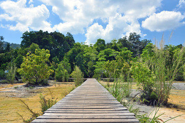 Nature trails in Krabi, Thailand