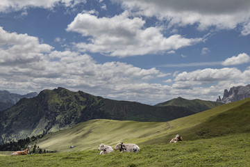 Langkofel