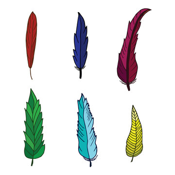 Set of bird colored feathers isolated on white background. Beautiful elements for decoration. Hand drawn feathers