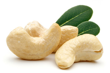 Cashew nut isolated
