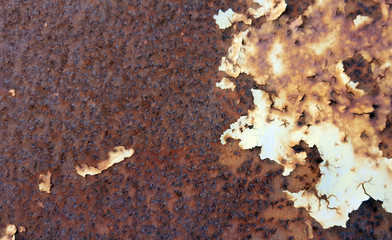 A rusty old metal plate texture