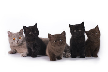 Family fun in the studio isolated