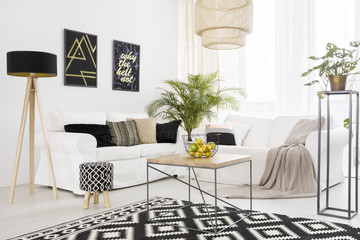 Black and white living room