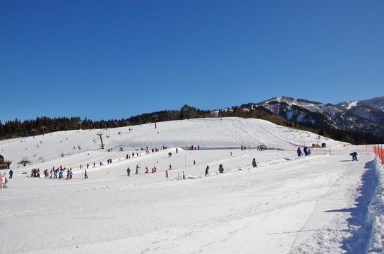 日本のスキー場でウインタースポーツを楽しむ人たち