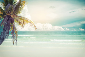 Vintage tropical beach (seascape) with palm tree in summer. Landscape of coast. vintage effect color tone.