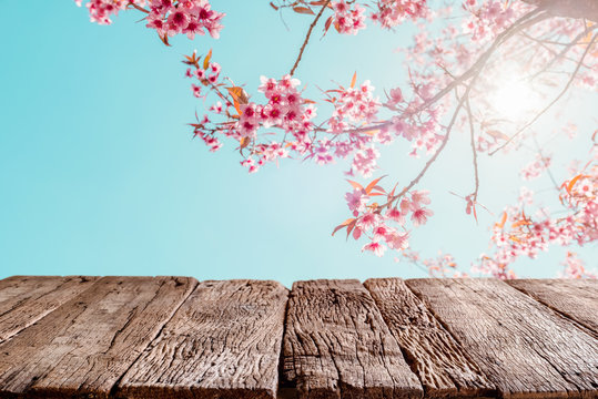 Top of wood empty ready for your product and food display or montage with pink cherry blossom flower (sakura) on sky background in spring season. vintage color tone.
