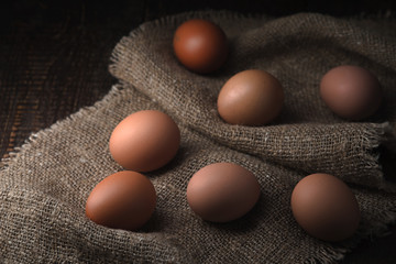 Chicken eggs on the canvas horizontal