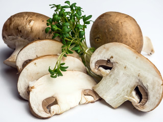 Braune Champignons mit Kresse isoliert