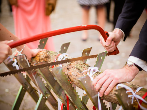 Der zers&auml;gte Stamm bei der Hochzeit