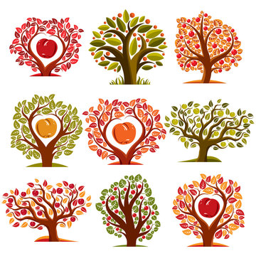 Vector art drawn trees with ripe apples and beautiful leaves. Ha