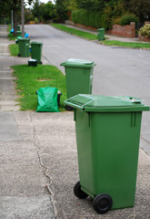 Green bins in the street on recycling day
