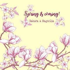 Background with sakura and magnolia