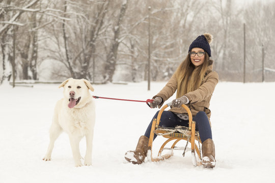 Girl and a dog in the snow