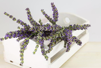 Lavender flowers in a wooden box