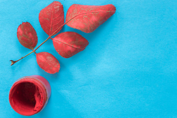 Red rose leaf on a blue background