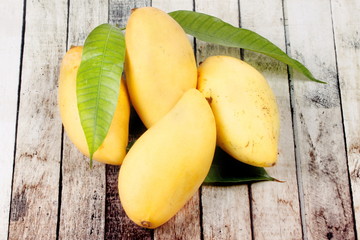 Ripe golden mangos with leaf .