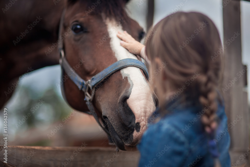 Wall mural Cute girl feeding her horse in paddock