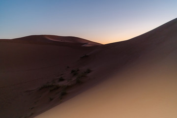 Fototapeta na wymiar Sahara Desert 