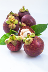 Mangosteen