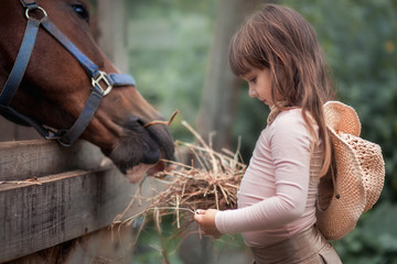 Cute girl feeding her horse in paddock - 136063382