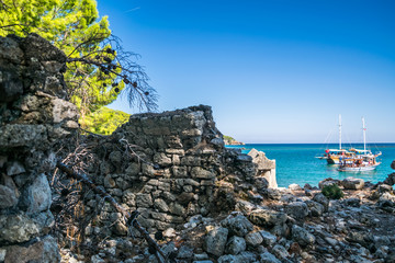 Fototapety na wymiar - Fototapeta24.pl