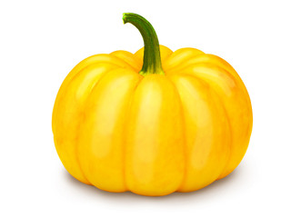 mini pumpkin