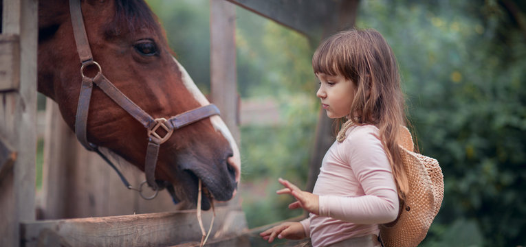 Cute girl feeding her horse in paddock